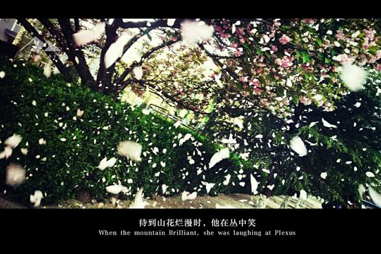 微信图片_20170421172148