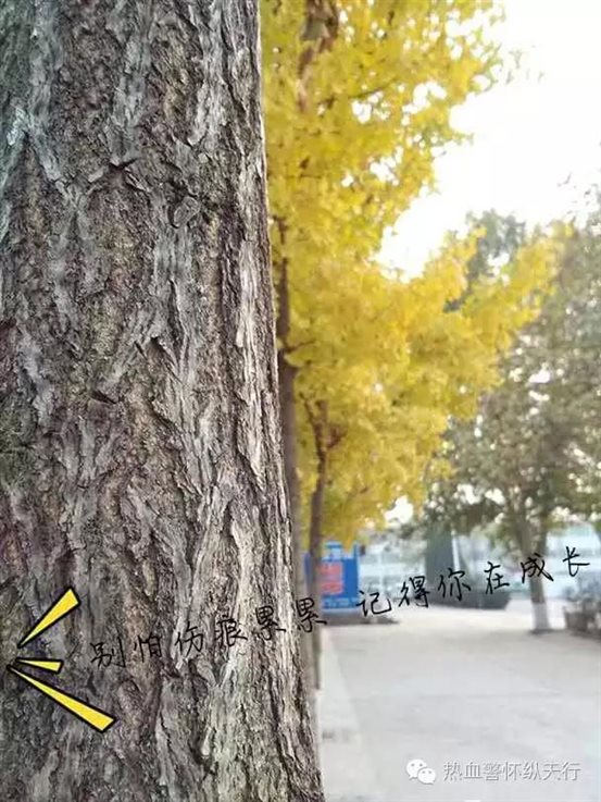 微信图片_20170421171915